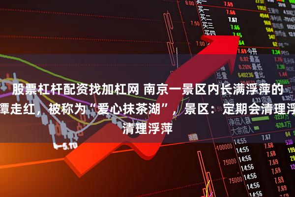 股票杠杆配资找加杠网 南京一景区内长满浮萍的水潭走红，被称为“爱心抹茶湖”，景区：定期会清理浮萍