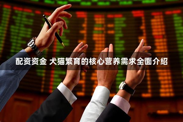 配资资金 犬猫繁育的核心营养需求全面介绍